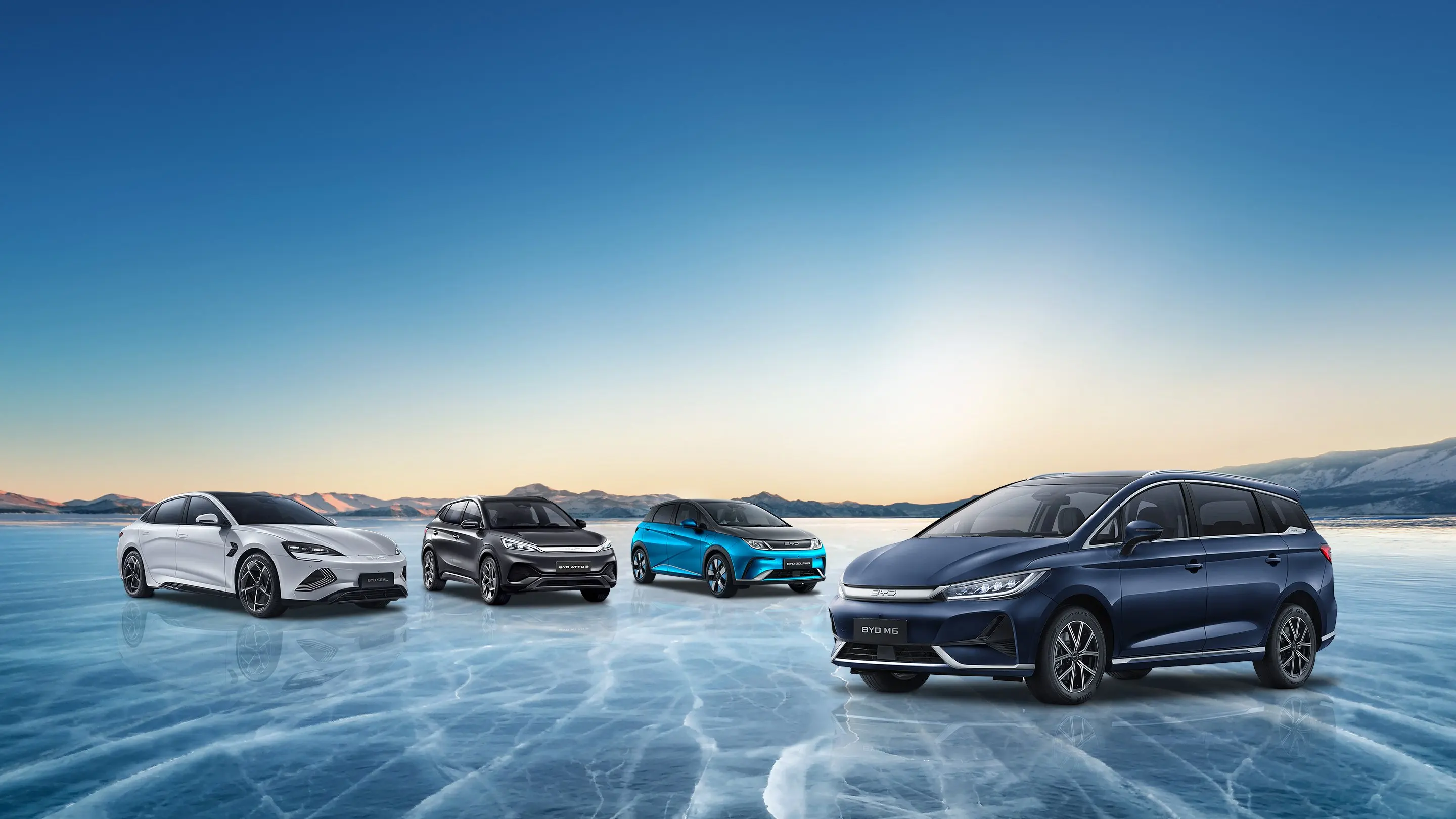 BYD Automotive Fleet